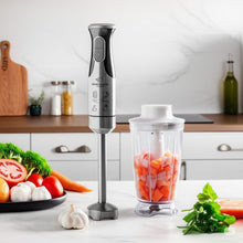 Batidora de Inmersión 800w