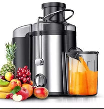 Extractor de Jugo Renahouse