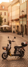 Moto Eléctrica para 2 personas con cesta y baúl Renahouse Germany